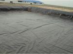 PVC Coated Black Waterproof Tarpaulin Tear Resistant Tarp