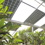 6/9.6/12meters Single/Multi Span Photovoltaic Greenhouses for Country Illuminate