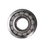 Shaantooth Transmission Intermediate Shaft Bearing NUP310EN 192310E Cylindrical