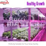 Indoor Hydroponic LED Grow Lights Bulb 265V 60Hz For Plants