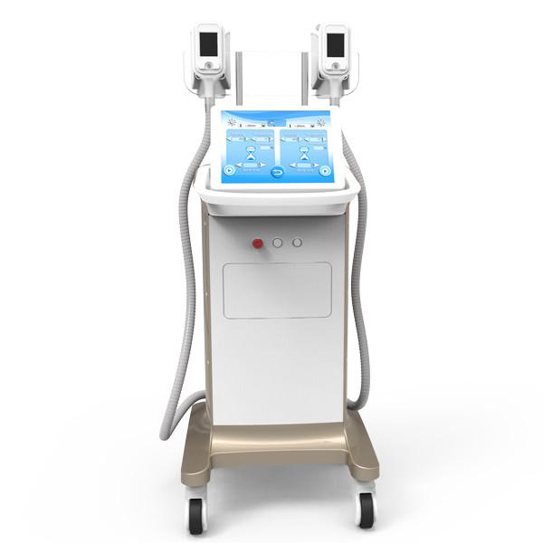 3d lipo 100% fat freeze cryolipolisis Safe And Effective 0-100kPa Vacuum