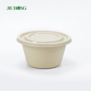 China Eco Friendly Sugarcane Food Container Biodegradable Bagasse Takeaway Boxes 600ml on sale