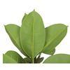 80cm Nearly Natural Looking Oak Tree Faux Plants Ornamental Indoor Tree