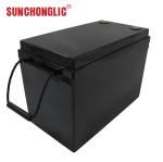 Portable LiFePO4 Lithium Battery Fast Charging 12.8V 200Ah Lifepo4 Battery