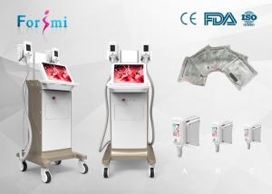 Wholesale 2018 fat freeze cryolipolisis Safe Effective 0-100kPa Vacuum Cryolipolysis Slimming Machine from china suppliers