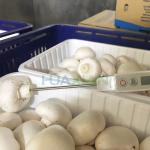 Farm Machine Vacuum Cooling System Machine, Fast Cooling Vegetable Food Machine
