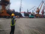 Urea SNCR Flue Gas Denitrification Project In Coal Power Plant