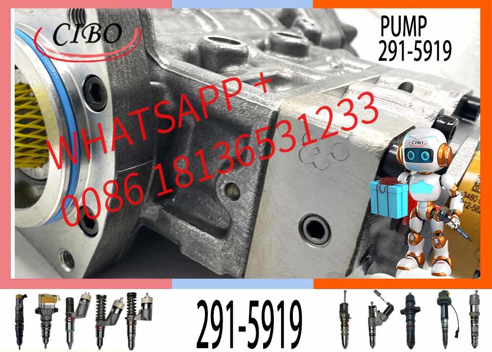Fuel Injection Pump 317-8021 291-5919 for C6.6 Engine 320D 322D Excavator