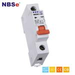 Gray AC 2P Industrial Type Circuit Breaker Double Pole 6kA NBSM1-125 Series