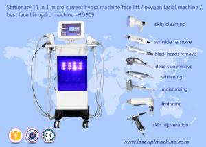Wholesale Stationary 11 In 1 Micro Hydra Machine Face Lifting Oxygen Beauty Machine HO909 from china suppliers