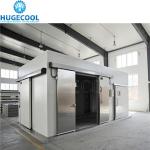 Cooling Room for Vegetables Temperature -18c Customized Request All Accessories