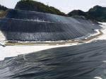 1.5mm 2mm Plastik PVC Geomembrane Film ISO9001 Fish Farm Landfill