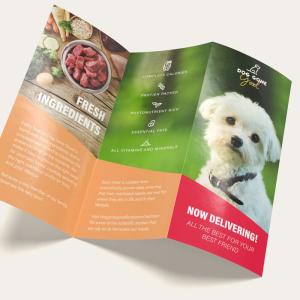 Wholesale ISO9001 Flyer Design And Print Custom Color Professional Flyer Printing from china suppliers