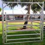 2.4M American Livestock Cattle Corral Fencing Round Pipe Style Cattle Fencing
