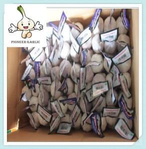 Wholesale Pure white garlic 5.5cm with 10kg carton box Fresh Vegetable - Garlic from china suppliers