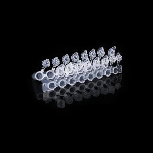 Wholesale Dome Shaped Caps 0.2ml PCR Tube 8 Strip With Attached Cap PCR Eight Connected Pipe from china suppliers