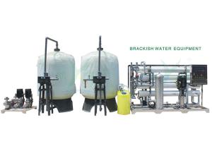 Wholesale 12TPH Salt Water Filtering Plant Water Filters Reverse Osmosis Plant With Ozonator from china suppliers