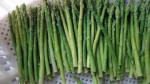 IQF Green Asparagus Spears , Blanched
