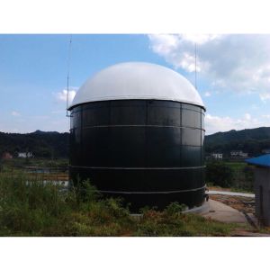 Wholesale CSTR Integrated Anaerobic Digestion Equipment For Pig Farms from china suppliers