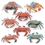 Sea Animal Figure Realistic Details for Sea Animals Fans ASTM F963 And CPSIA