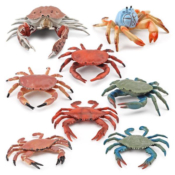 Sea Animal Figure Realistic Details for Sea Animals Fans ASTM F963 And CPSIA