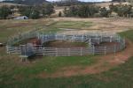 Wrought Iron Galvanized 50x50mm Tube Heavy Duty Cattle Panel