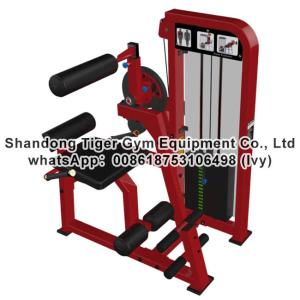 Wholesale Single Station Gym fitness equipment machine Abdominal Crunch / Lower Back exercise machine from china suppliers