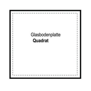 Clear Glass Fireplace Enclosures , Glass Screen For Fireplace