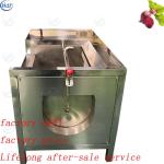 High Output Commercial Potato Peeler , Roofy Vegetable Ginger Turmeric Peeling