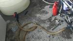 Solar Powered Seawater RO Plant 1000LPD Desalination Machine 8% Recovery Rate