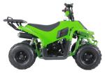 110cc Sport 4 Wheeler Chain Drive Youth Racing ATV