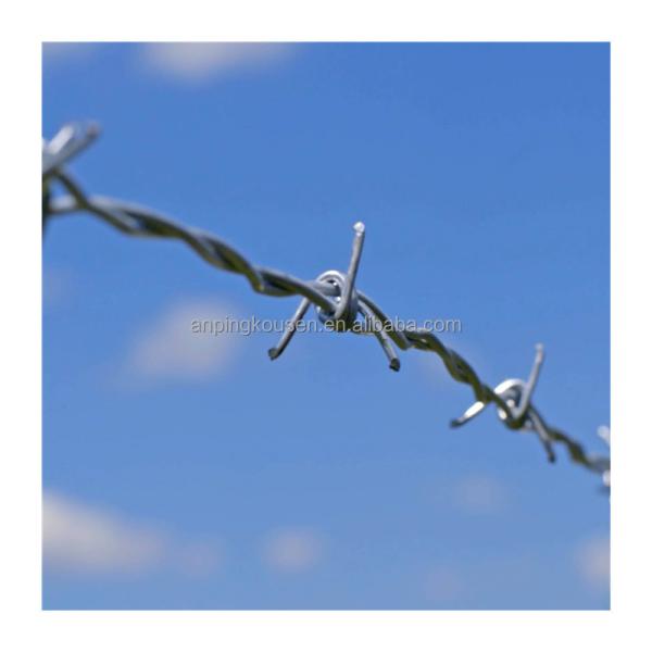 50kg Barbed Wire Roll Two Wire Twist 1.5-3cm Barb Length for Customer Requiremen