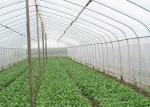 Food Grade 600 700 800 Micron Pest Control Netting 80% Filter Mesh