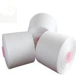 30/2 30/3 Spun Polyester Yarn For Sewing Thread With High Tenacity