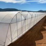 Custom Double Arch Beam Greenhouse for Vegetables Personalized to Your