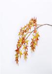 Delightful Decorative Artificial Branches Rejuvenating Lush Fronds Commercial