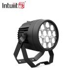 12x10W Powerful Disco Lights DMX 512 Sound Activated LED Par Can Stage Lights