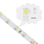 High CRI95 3528 SMD LED Strips 60LEDs 120LEDs 240LEDs For Office Buildings