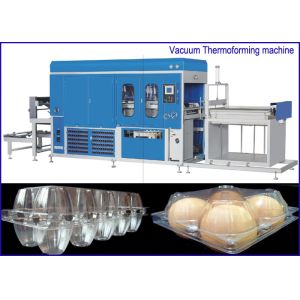 China PET Plastic sheet Egg Containers Vacuum Thermoforming Machine , big forming area on sale