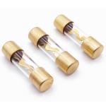 Gold 10x38mm Car Stereo Fuses AGU zinc alloy 20 Amp Glass Fuse