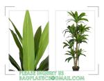 Artificial Agave Plant Potted Plants, Artificial Plant Perfect for Home Office