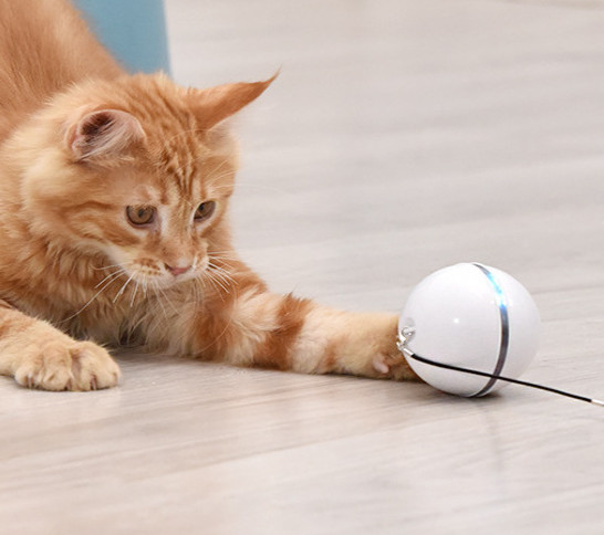 usb cat toy ball