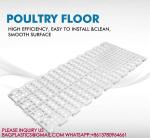 40mm Slatted Floor System In Poultry, PP Slatted Floor System, Plastic Floor For