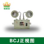 Aluminum Alloy Atex 2X3W Explosion Proof Emergency Light