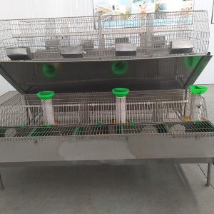 Wholesale Steel Wire Mesh Farm Rabbit Cage Hot Dipped Galvanized Surface 12 Mums Capacity from china suppliers