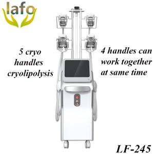 Wholesale 5 cryo handles Cryolipolysis Machine/ Cryolipolisis fat freezing machine/ Cryolipolysis slimming machine from china suppliers