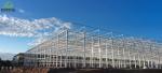 Tunnel Cultivation Method Multi Span Greenhouse with Hot-DIP Galvanized Steel