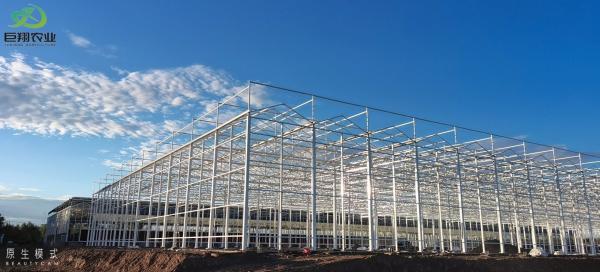 Tunnel Cultivation Method Multi Span Greenhouse with Hot-DIP Galvanized Steel