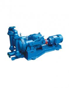 Wholesale Cast Iron SS304 Electric Diaphragm Pump Low Pressure 30m Head from china suppliers