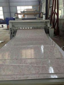 China China newest PVC imitation marble stone sheet extrusion line on sale